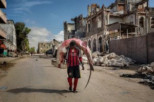 Africa, Somalia, Mogadishu. 10/10/2015. A man carries a huge hammerhead through the streets of Mogadishu. A recent escalation of plunders of Somali waters by foreign fishing vessels could mean the return of hijackings, locals warn..The country's waters have been exploited by illegal fisheries and the economic infrastructure that once provided jobs has been ravaged.